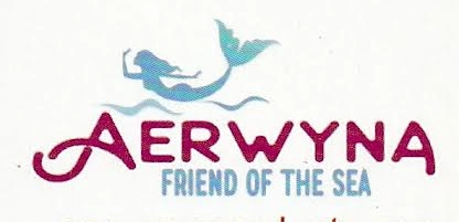 Aerwyna Hair Care